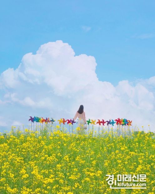 금상, '봄에빛나는안성'. <사진=안성시>