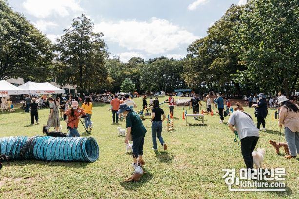 경기상상캠퍼스에서 열린 가을 맞이 반려견 축제 상상투게더 모습. <사진=경기도>